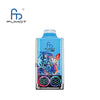 RandM Leopard 40000 Wegwerp Vape (Doos van 10)