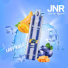 JNR Shisha Hookah 12000 Puffs (Doos van 10)