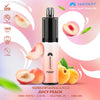 Hayati Twist 5000 Puffs Disposable Vape Pod Kit (Box of 10)