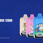 RAndM Digital Box 12000 Instructies